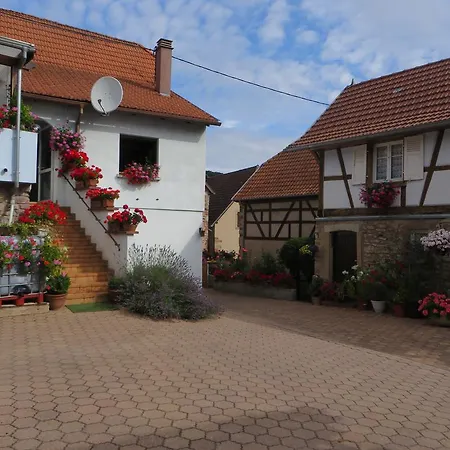 Location Alice Villa Ottrott Exterior photo