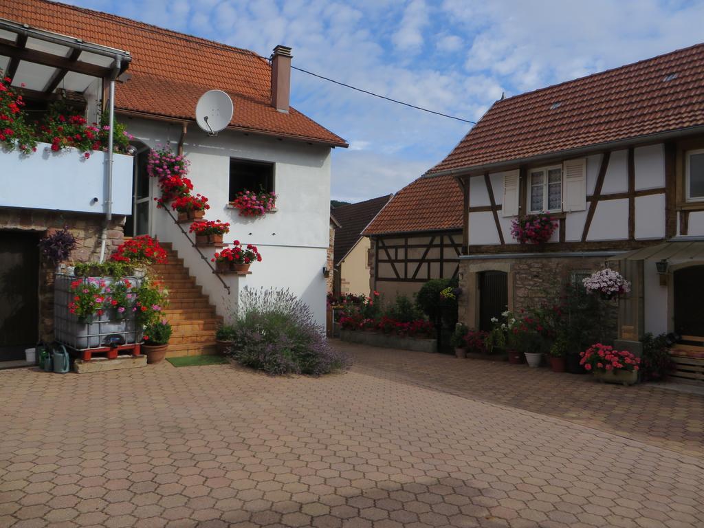 Holiday home Location Alice *